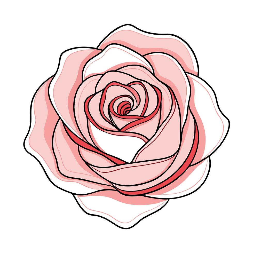 Modern echo line rose showcasing its delicate repetitive design in art vector