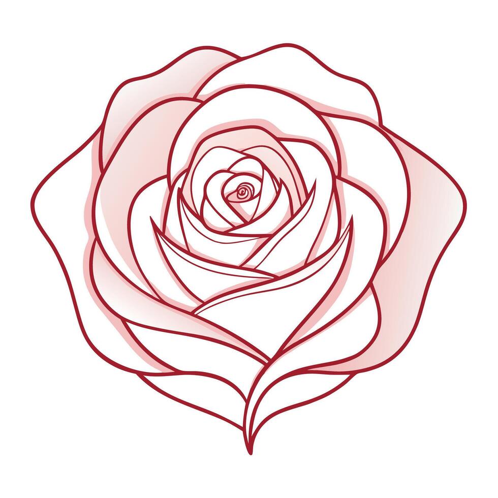 Elegant echo line rose featuring its rhythmic repetition in design vector