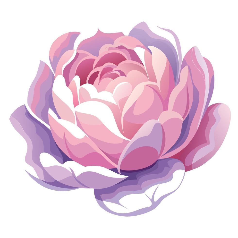 Abstract fading petal peony with beautifully vanishing edges in illustration vector