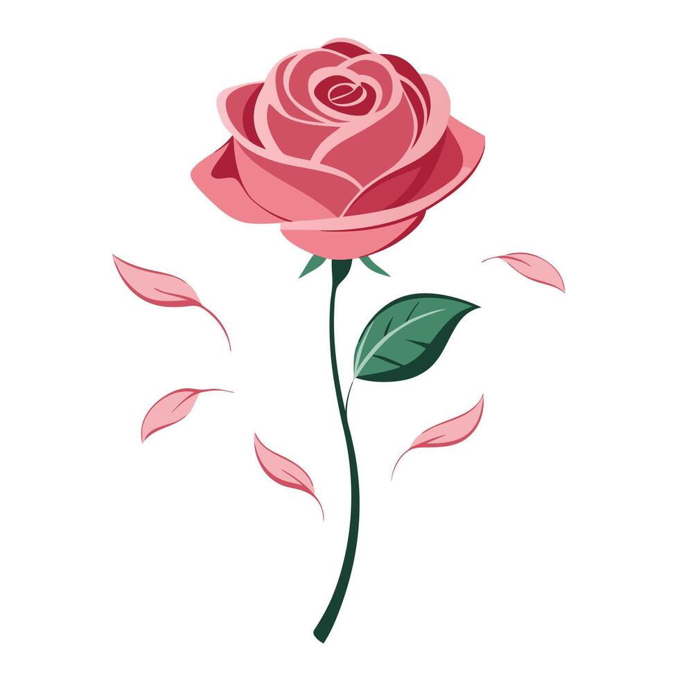 Modern rose with petals falling softly illustration delicate design vector