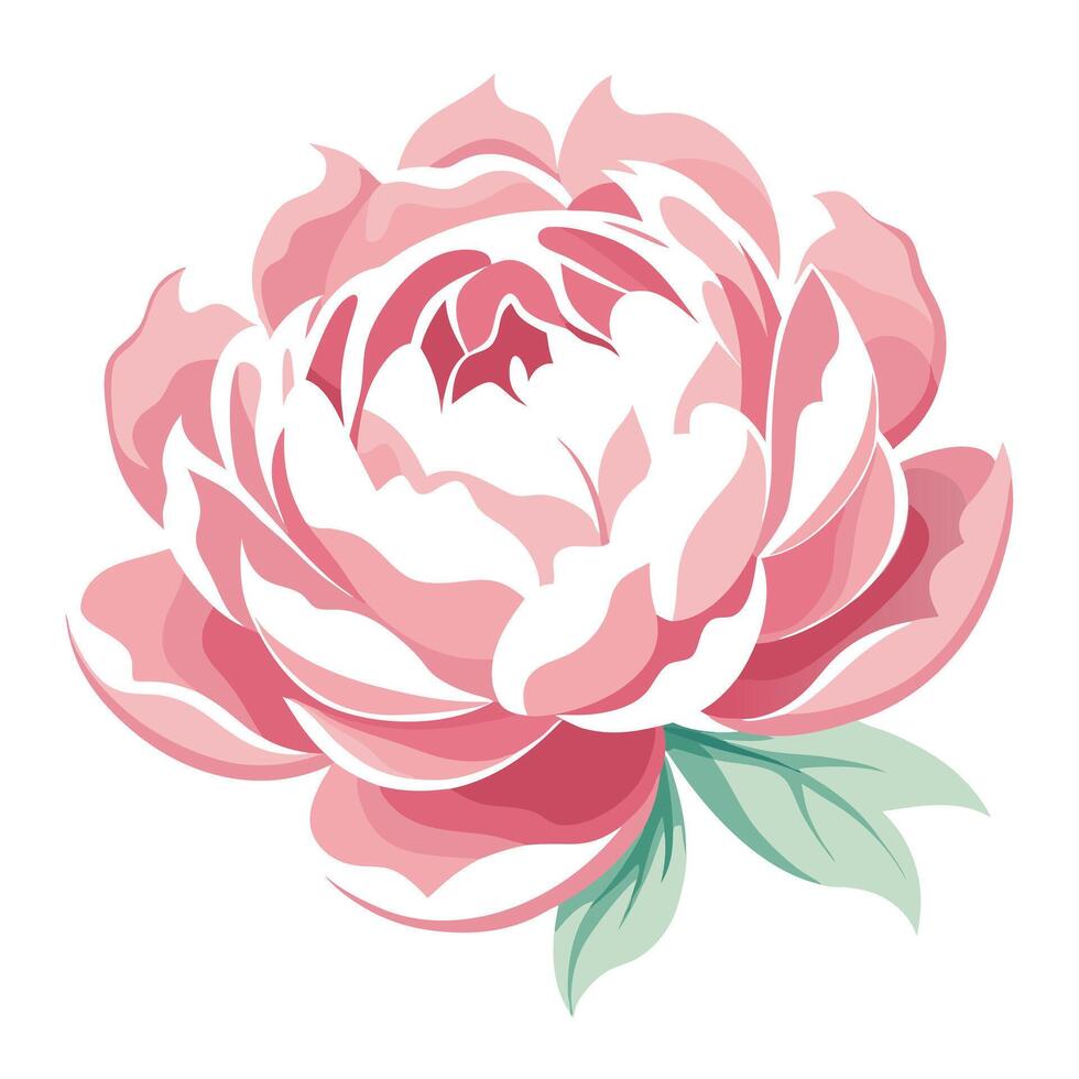 Peony with feather light petals and wispy brush strokes illustration art vector