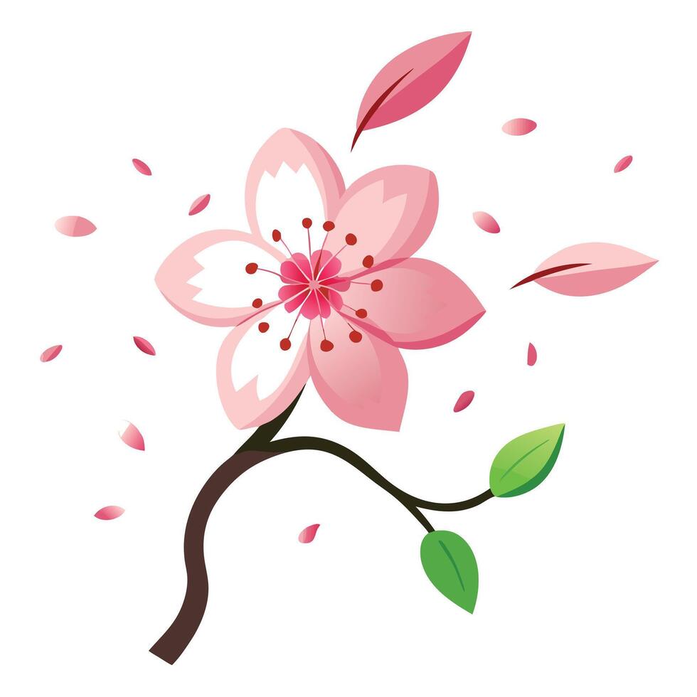 Sakura bloom with floating petals in motion illustration delicate art vector
