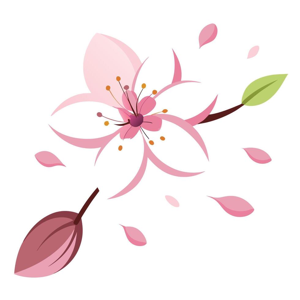 Delicate sakura bloom with petals drifting illustration charming floral art vector