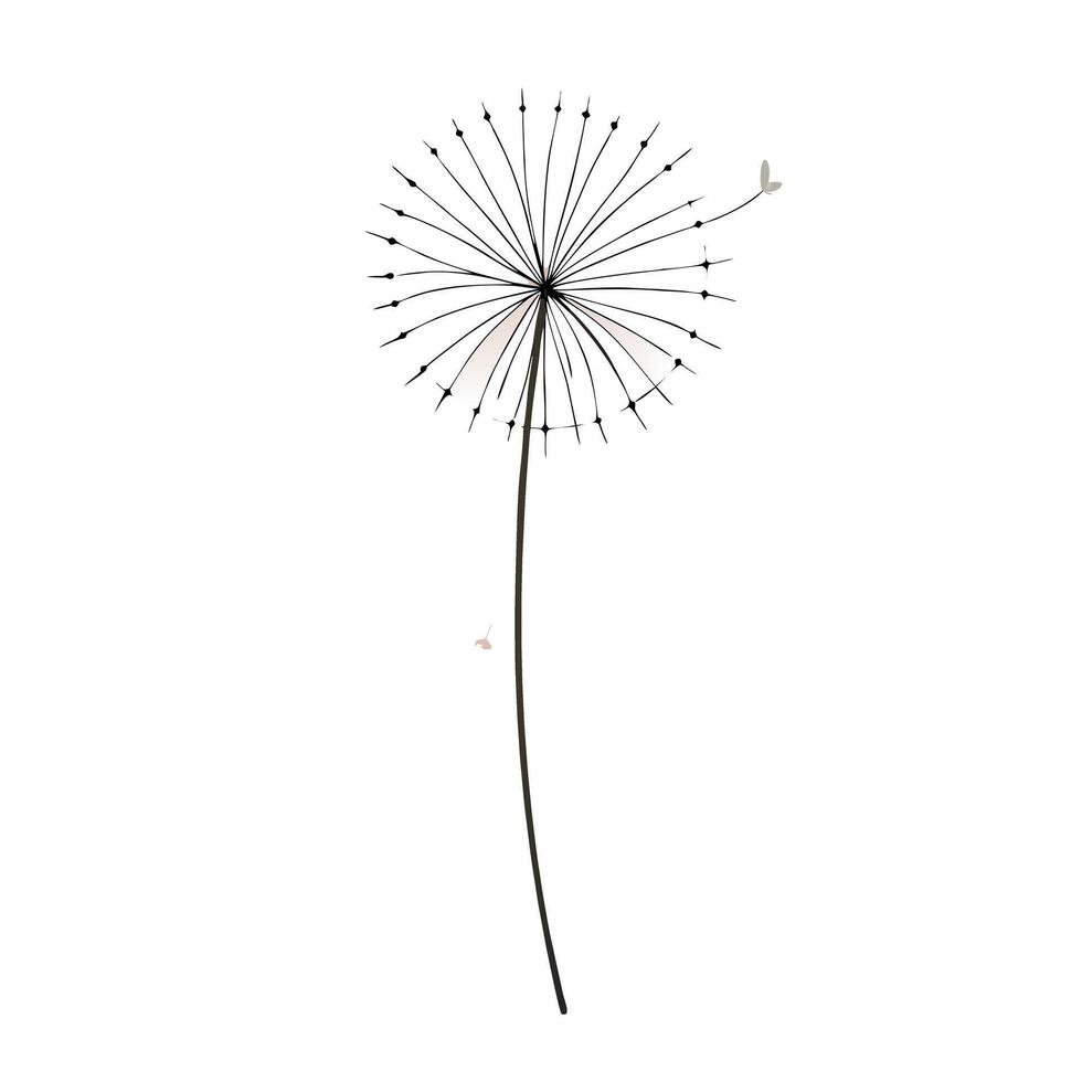Modern dandelion with floating seeds in the air illustration vector