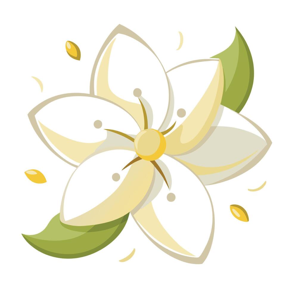 Jasmine with floating and dispersed petals illustration delicate art vector