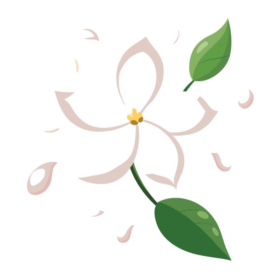 Modern jasmine with floating petals scattered illustration delicate floral vector