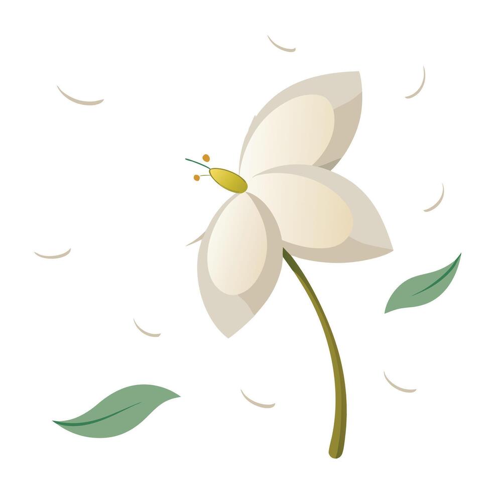 Floating jasmine with dispersed petals illustration delicate floral vector