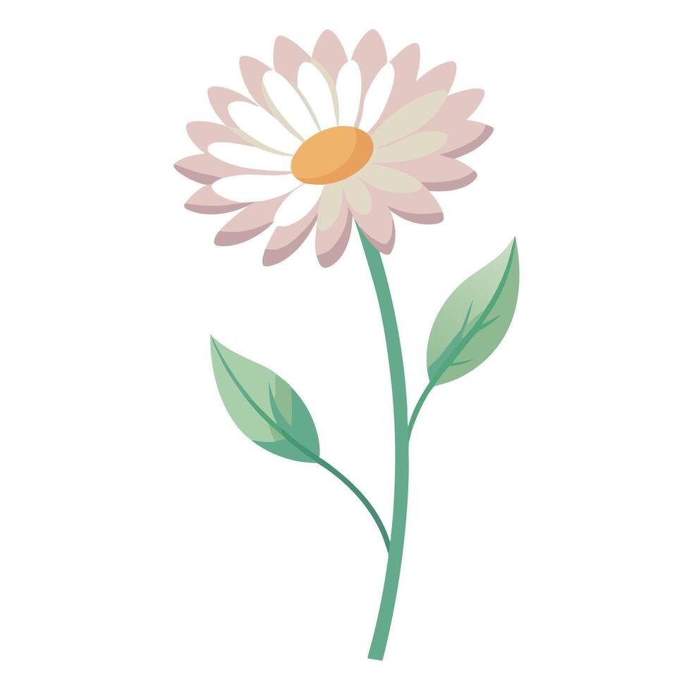Floating stemless wildflower with suspended beauty illustration delicate vector