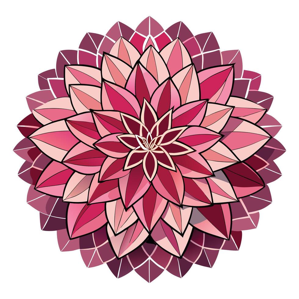 Elegant geometric dahlia featuring its accurate symmetrical pattern in design vector
