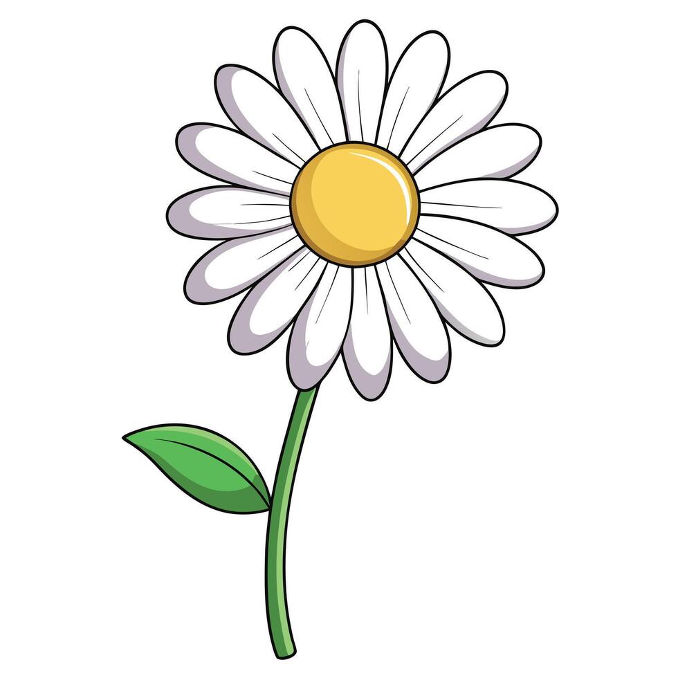 Abstract ghost outline daisy with a subtle faint tracing in illustration vector