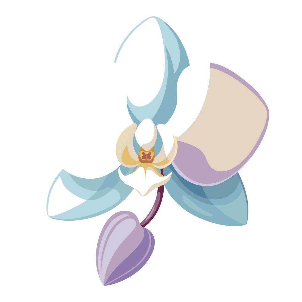 Modern glass effect orchid showcasing its translucent layered design in art vector