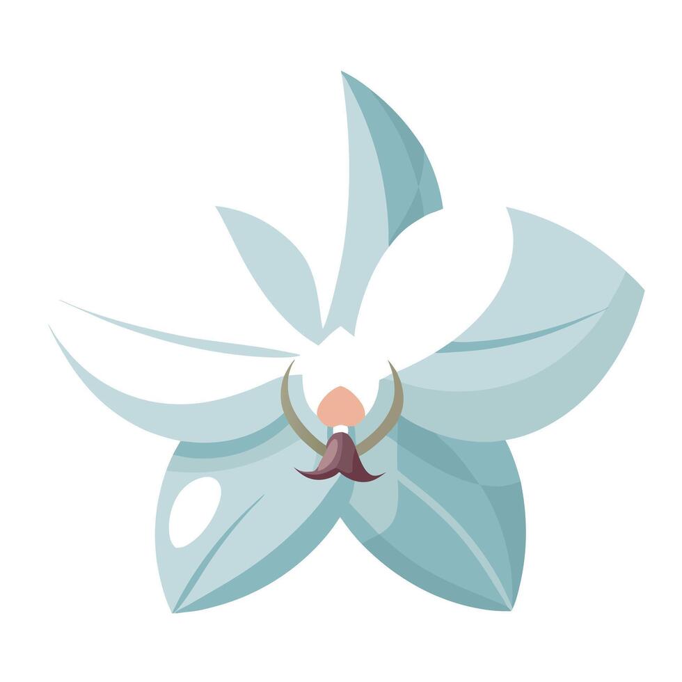 Elegant glass effect orchid featuring its delicate transparent aesthetic in design vector