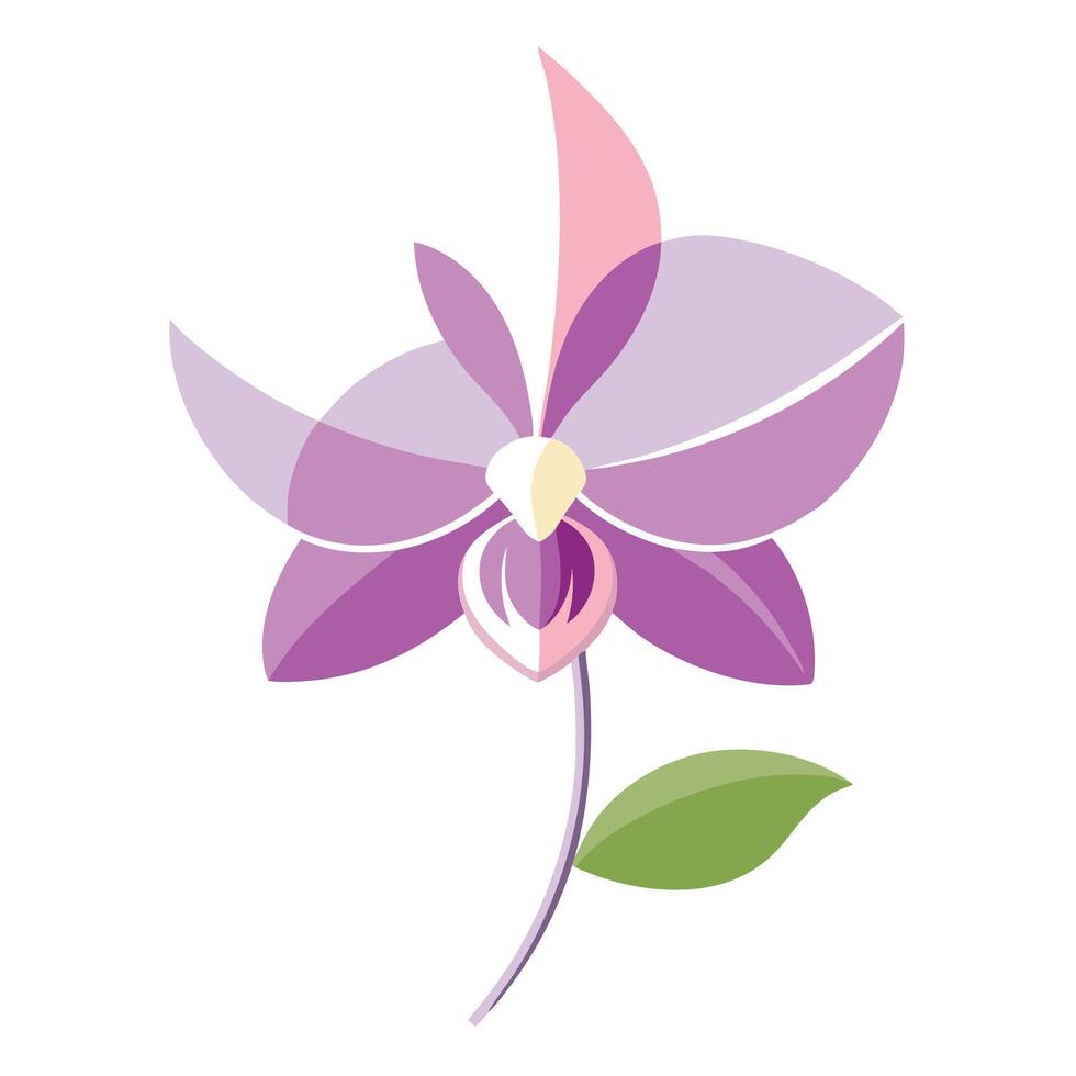 Modern gradient fade orchid showcasing its smooth color transitions in design vector