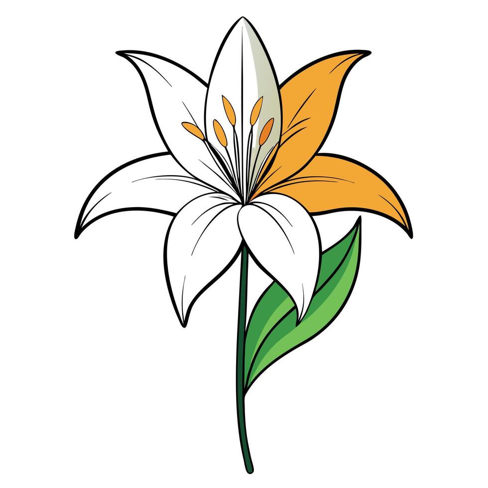 Elegant half filled lily featuring its creative contrast in design vector