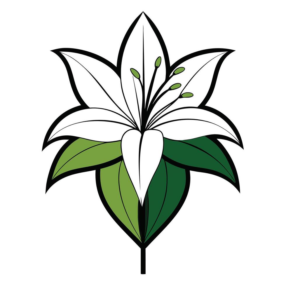 Unique half filled lily highlighting its partial color fill in graphic vector