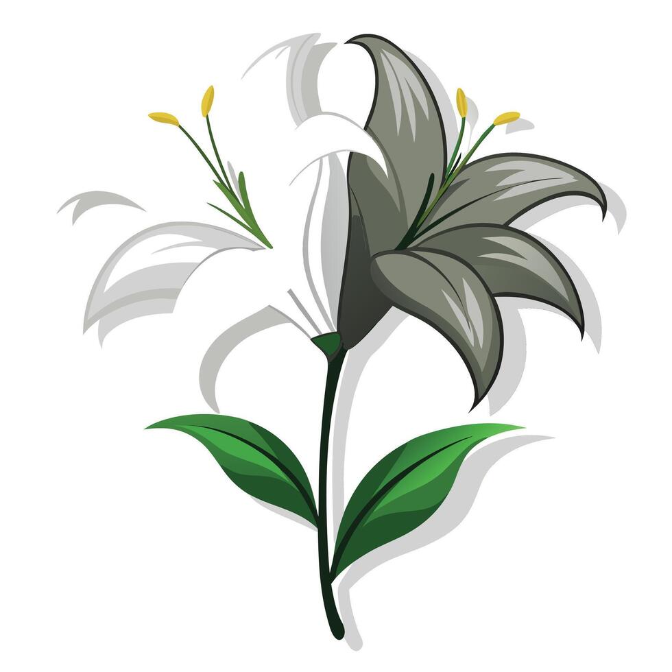 Half shadow lily with light and dark contrast illustration modern floral vector