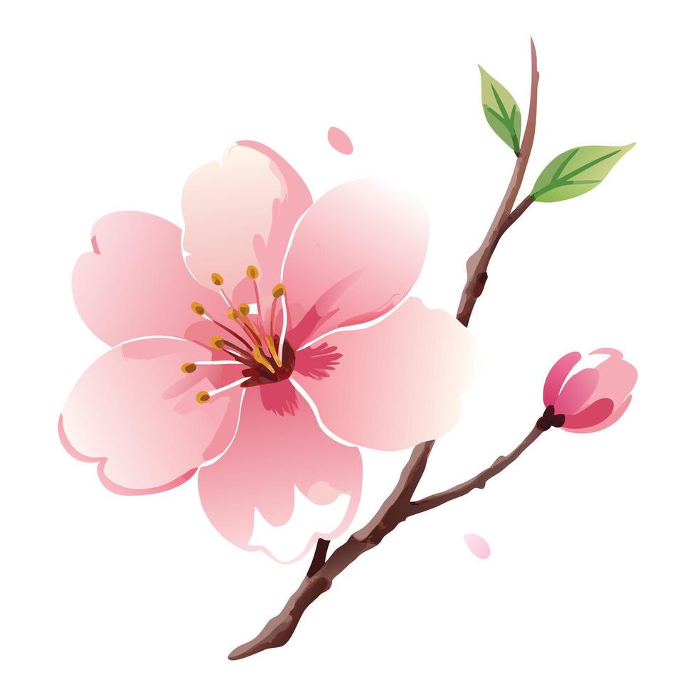 Modern cherry blossom with ink wash and subtle strokes illustration vector