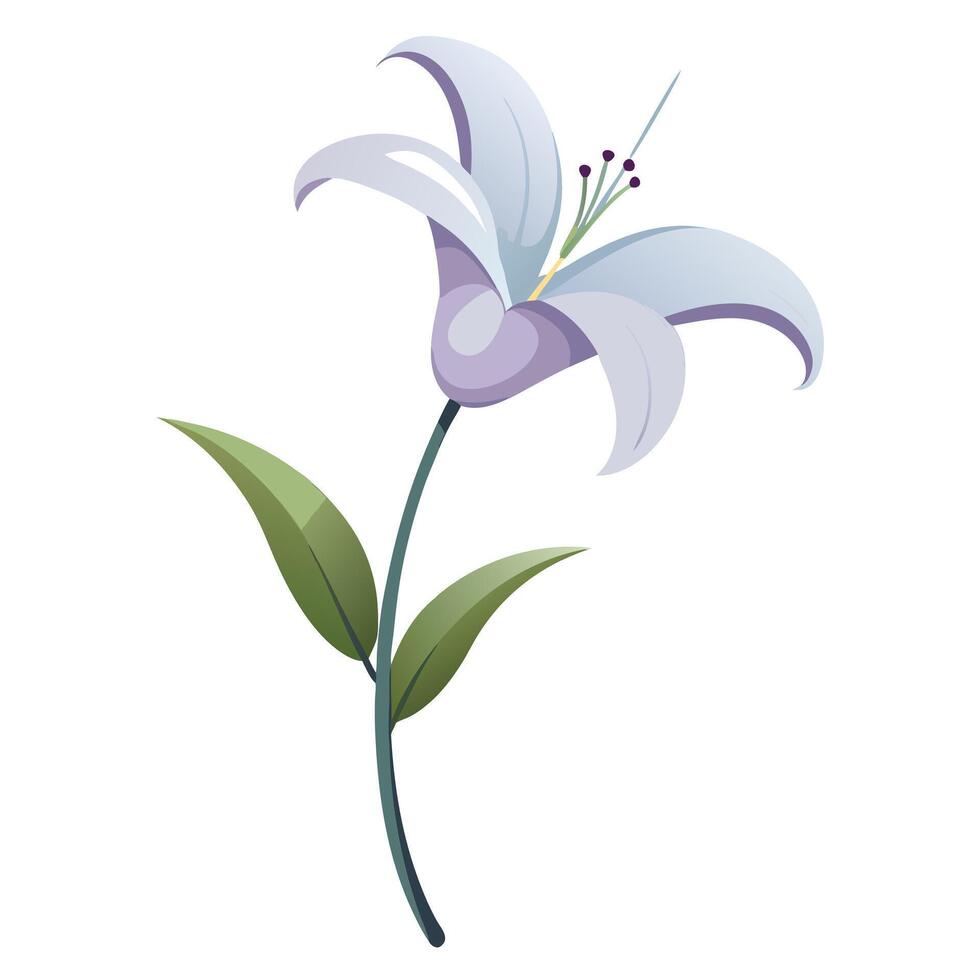 Modern lily with invisible stem and floating presence illustration floral vector