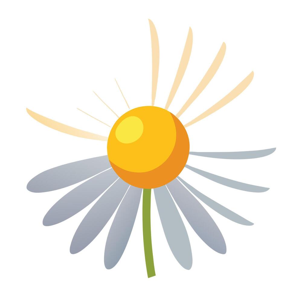 Modern light beam daisy showcasing its vibrant radiating glow in a art design vector
