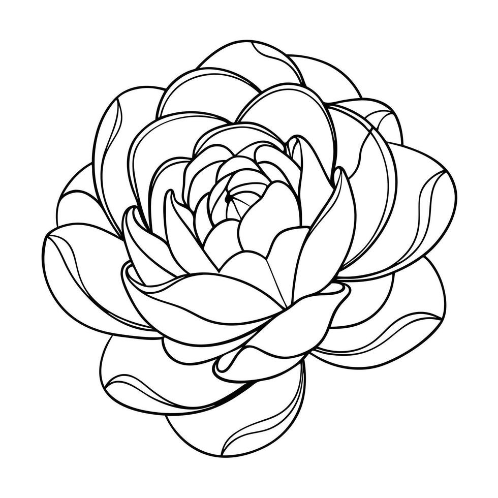 Modern line wrapped peony showcasing its unique spiraling line design in art vector