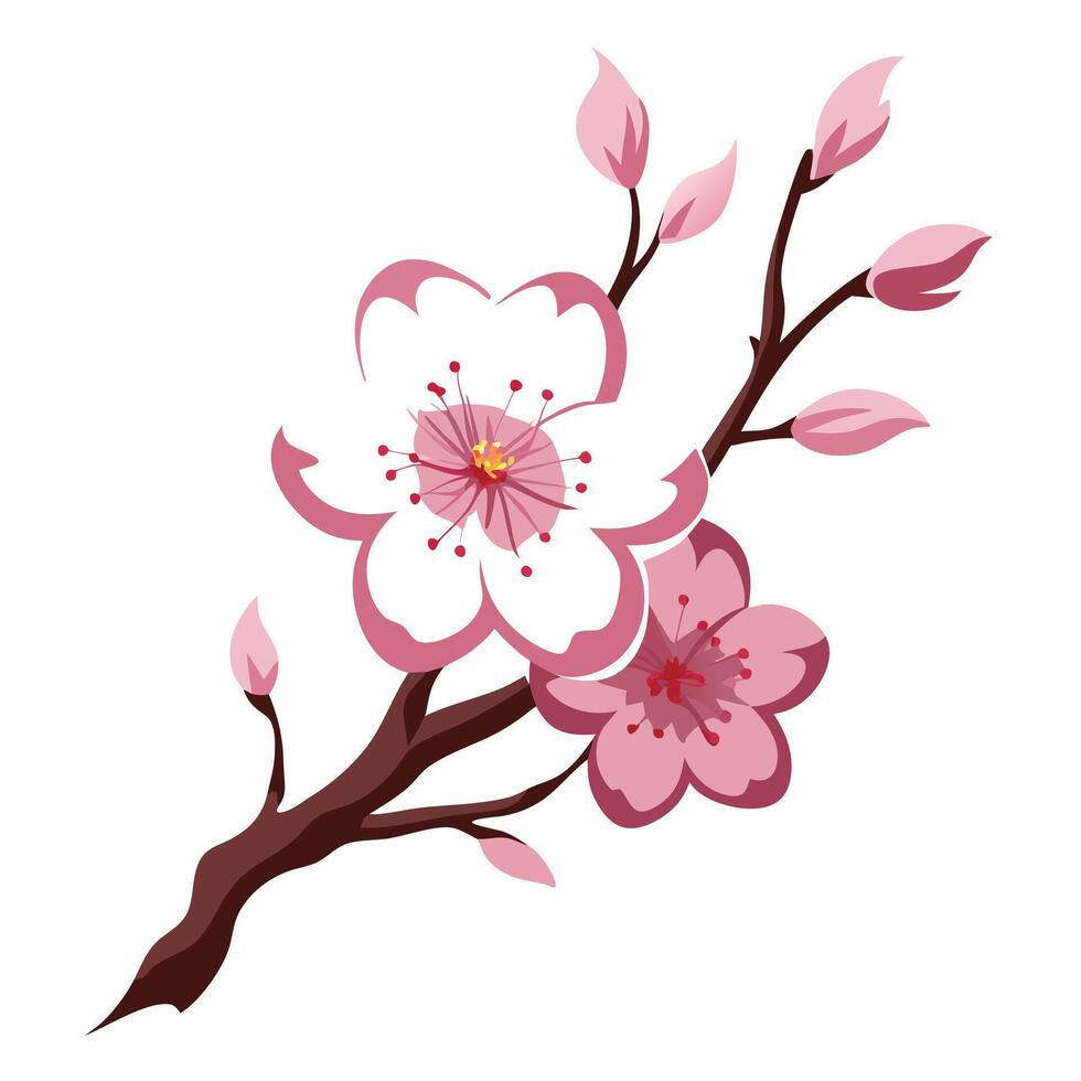 Unique light brushstroke cherry blossom featuring its artistic ink wash style in illustration vector