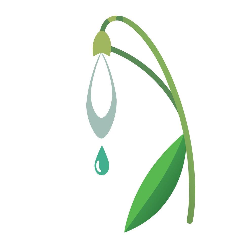 Elegant minimalist snowdrop showcasing its simple droplet design in art vector