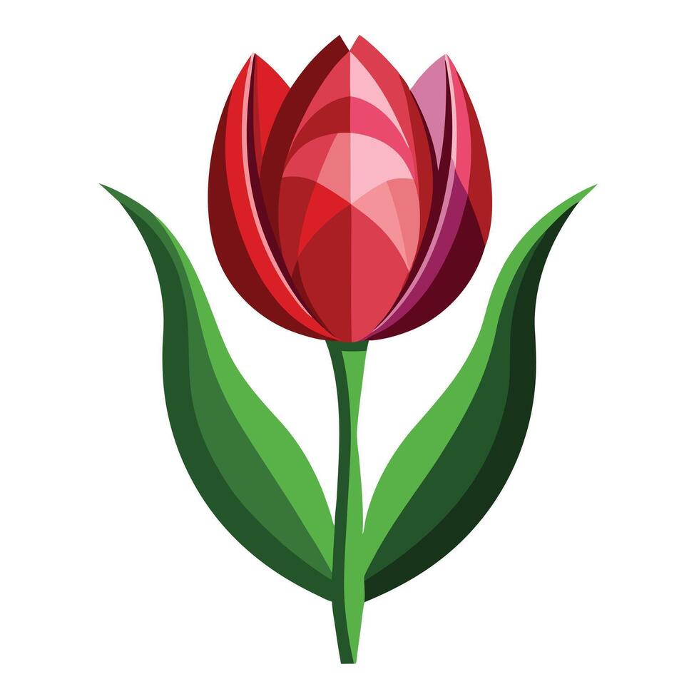 Modern mirror image tulip showcasing its balanced symmetrical design in illustration vector