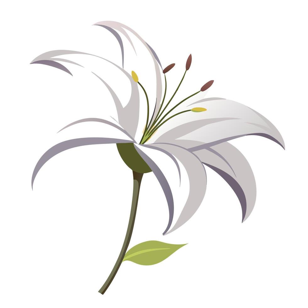 Modern negative space lily showcasing its simple floating contour in illustration vector