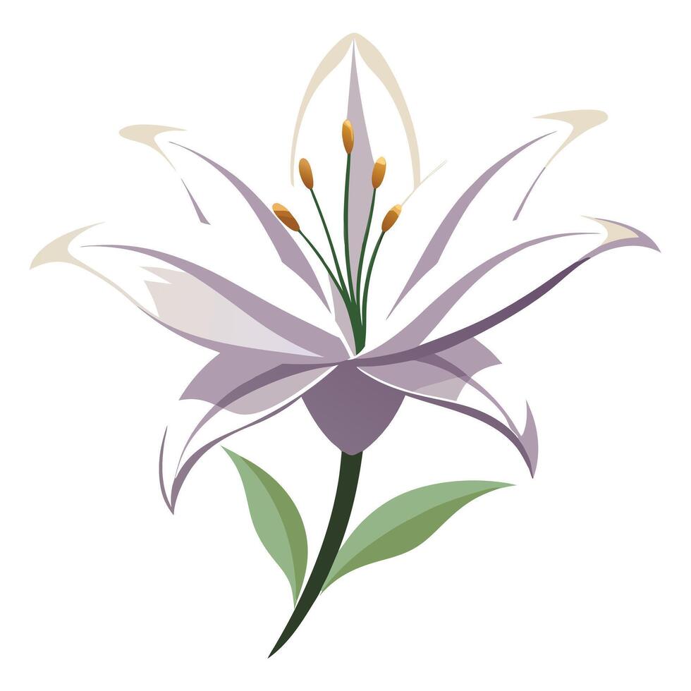 Abstract negative space lily with a delicate floating outline in art vector
