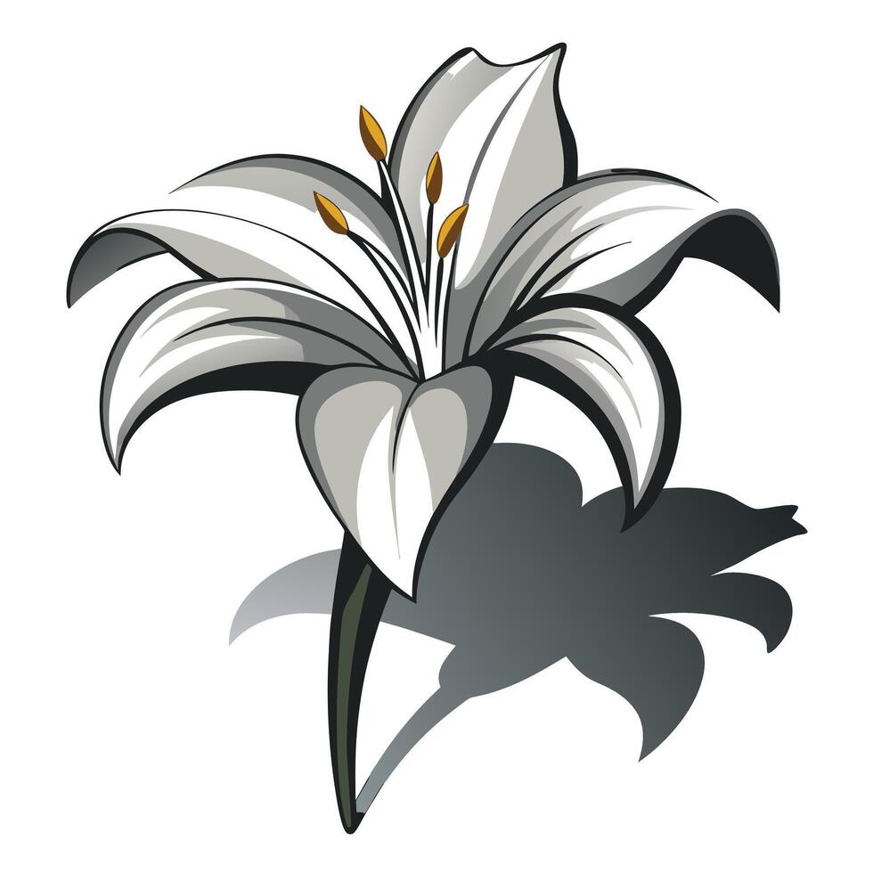 Modern negative space lily showcasing its minimal shadow form in illustration vector