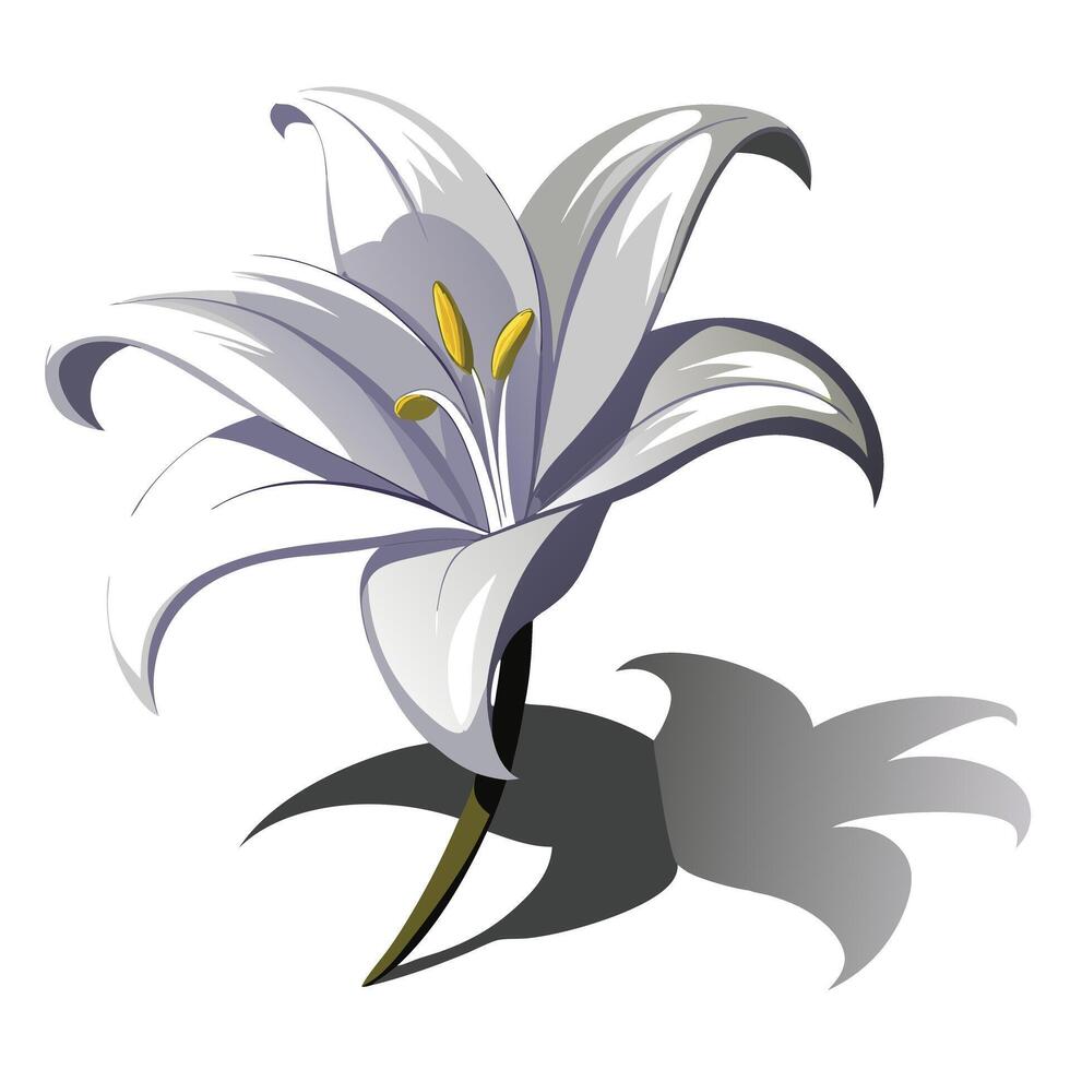 Elegant negative space lily featuring its subtle shadow outline in design vector