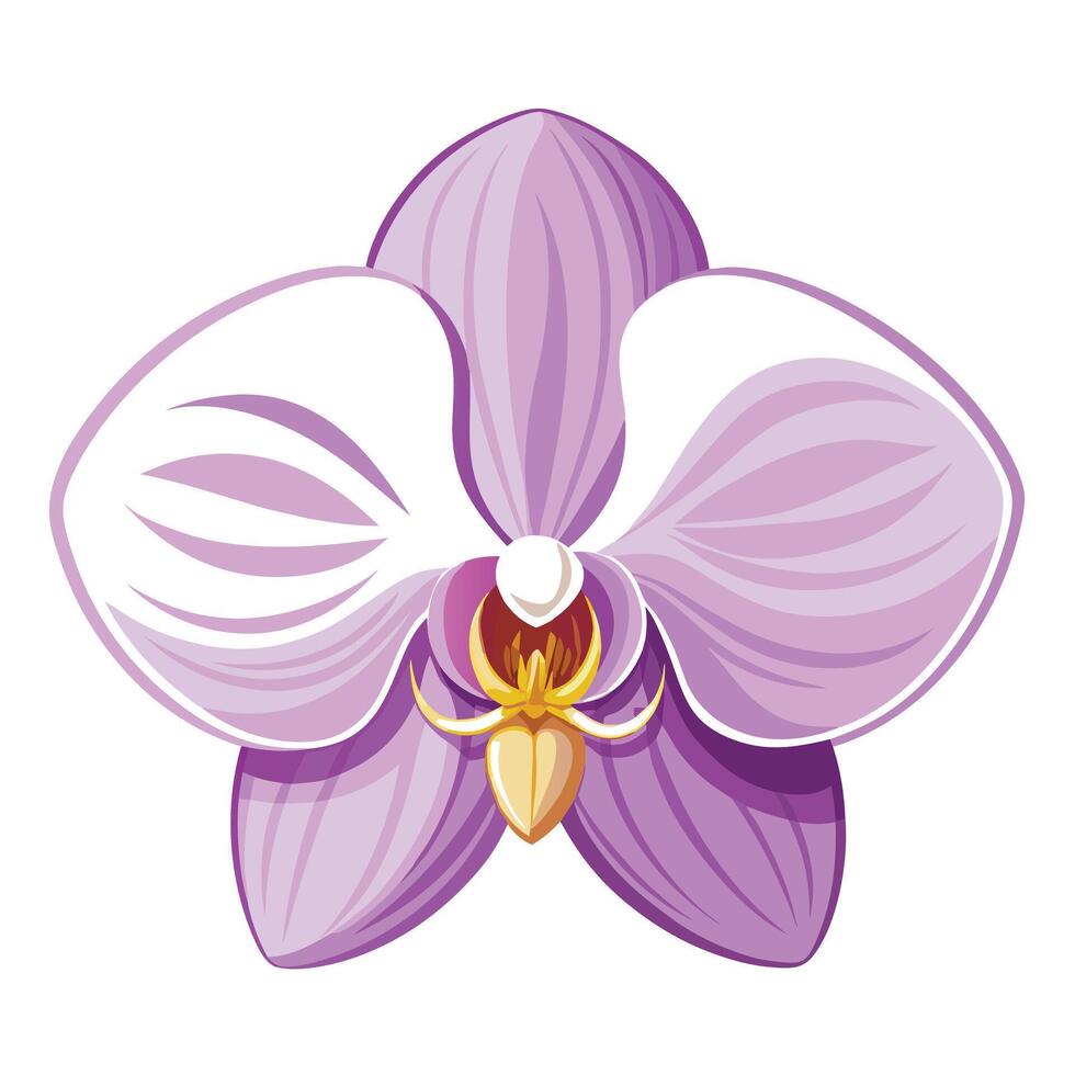 One stroke orchid with flowing elegance illustration minimalist floral vector