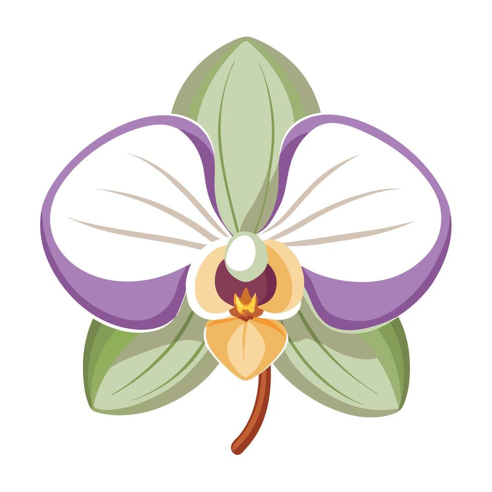 Modern orchid with one stroke design illustration minimalist floral vector
