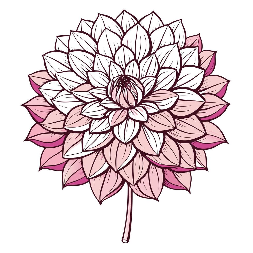 Elegant dahlia with single flowing stroke illustration minimalist floral art vector