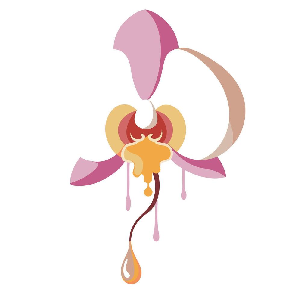 Orchid with dripping petal effect illustration abstract floral art vector