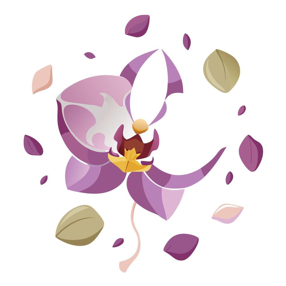 Orchid with fragmented petals and delicate gaps illustration abstract floral art vector