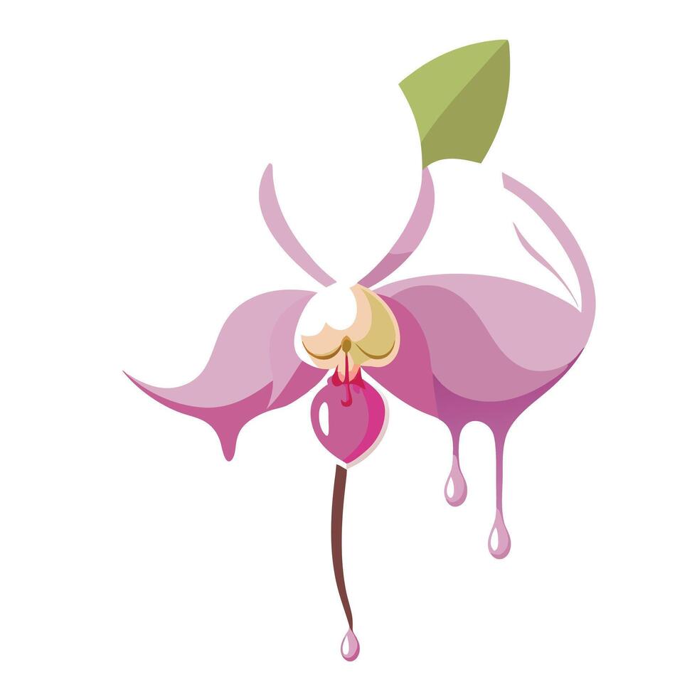 Modern orchid with petal drip design illustration abstract floral vector