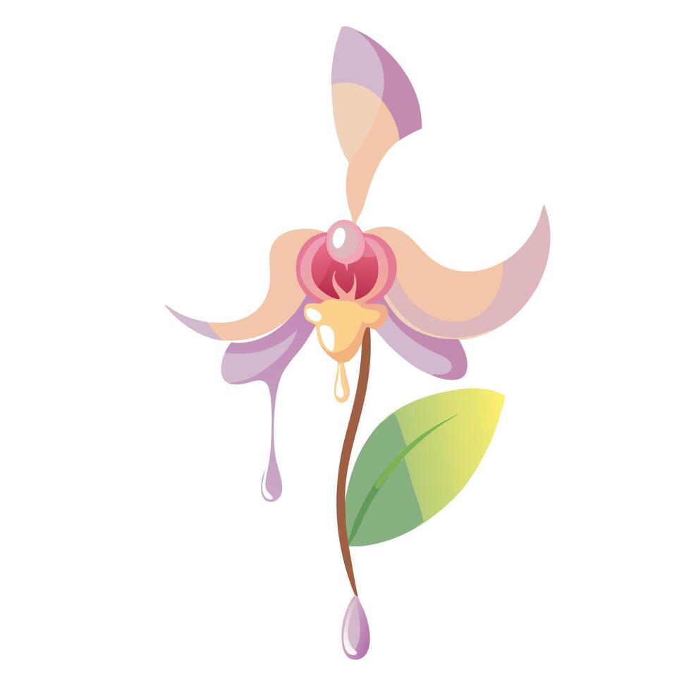 Elegant orchid with petal drip effect illustration abstract floral art vector