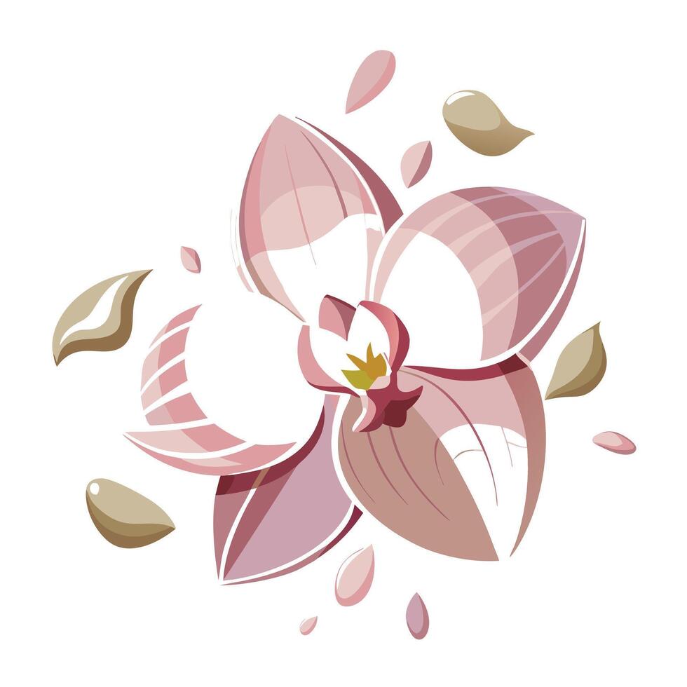 Petal fragment orchid with delicate gaps illustration abstract floral vector