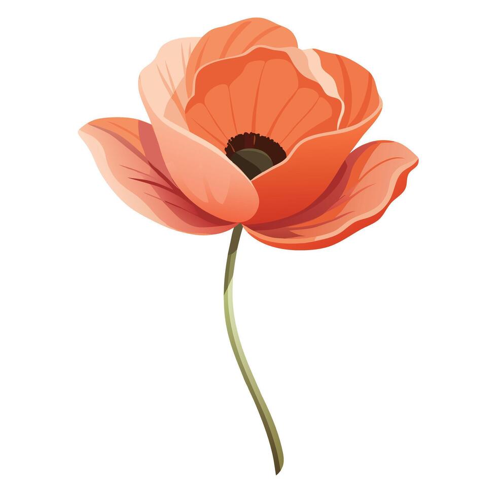 Unique semi-transparent poppy highlighting its delicate sheer petals in graphic vector