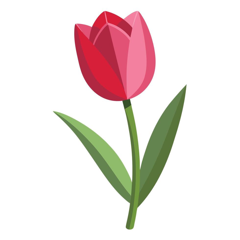Unique shadow only tulip highlighting its delicate depth fade in graphic vector