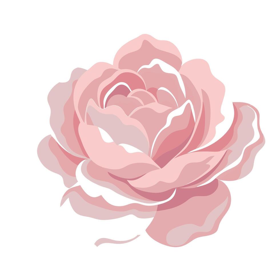 Elegant shadow silhouette peony featuring its delicate fade in design vector