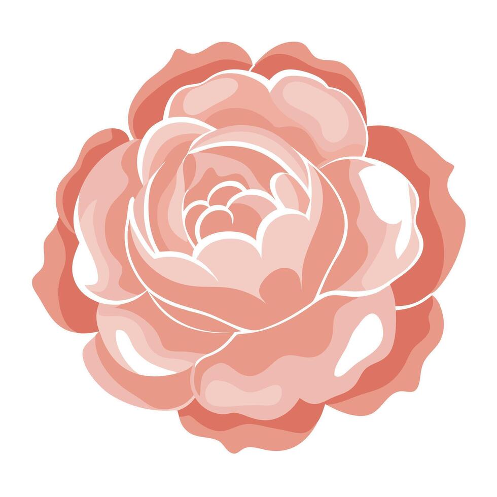 Creative shadow silhouette peony with a smooth fade in illustration vector