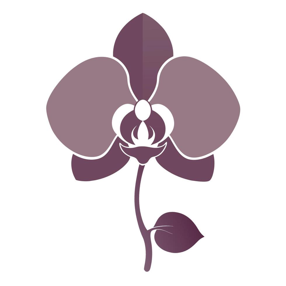Modern silhouette orchid showcasing its subtle inner lines in art vector
