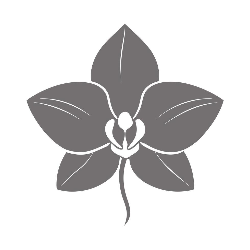 Unique silhouette orchid highlighting its minimal inner tracing in graphic vector