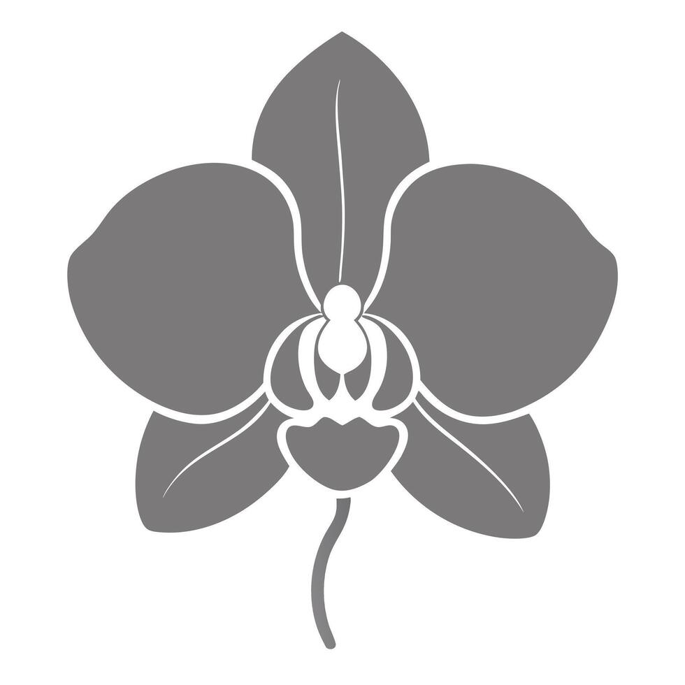 Elegant silhouette orchid featuring its delicate inner details in design vector