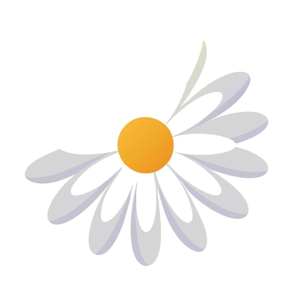 Abstract single dot center daisy with an ultra simple design in art vector