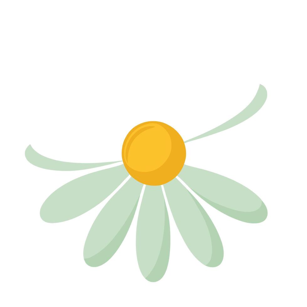 Unique single dot center daisy highlighting its minimal dot in graphic vector