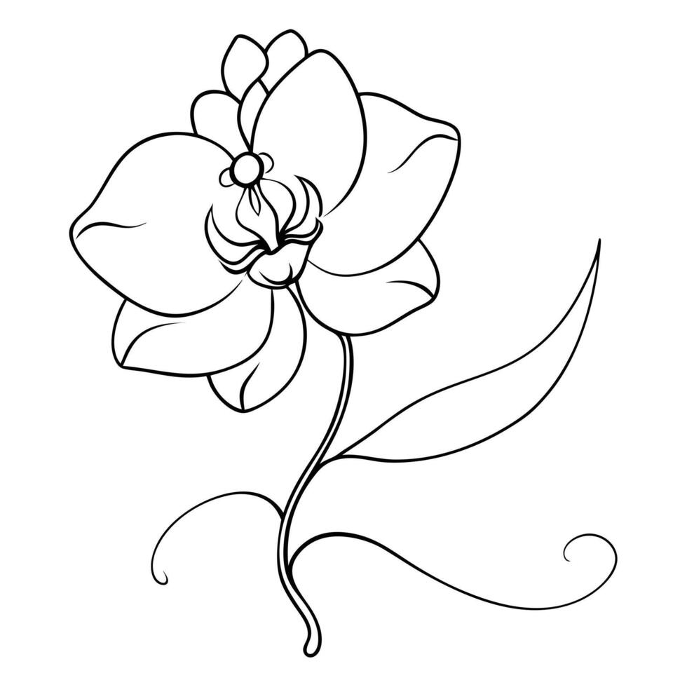 Modern single line orchid showcasing its unbroken flowing line in art vector