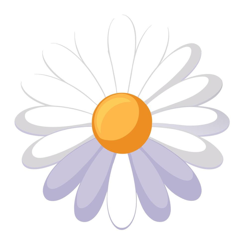 Unique soft gradient daisy highlighting its delicate petal gradient in graphic vector